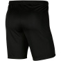 NIKE Брюки для детской команды Y NK DF PARK III SHORT NB K
