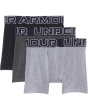 Boxer Brief Underwear (Big Kid)