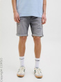 Jack & Jones Шорты C18714810-4292