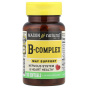 Mason Natural, комплекс витаминов группы В, 100 капсул