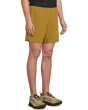 Intrinsic Lined Shorts
