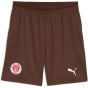 PUMA Мужские шорты копия шорт FCSP