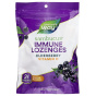 Natures Way, Sambucus®, леденцы для иммунитета, тропические, 24 пастилки