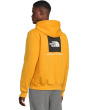 Evolution Box NSE Regular Hoodie