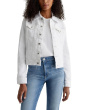 Robyn Fitted Denim Jacket