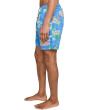 Traveler Shorts