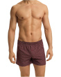 Fancy Woven Boxer
