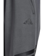 Icons Shorts (Big Kid)
