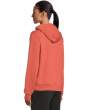 Evolution Half Dome Regular Hoodie