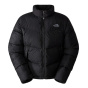 The North Face Мужская куртка Saikuru