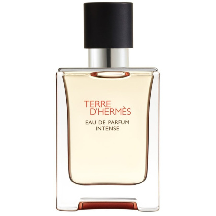 Hermès Парфюмерная вода Terre d'Eau Intense Парфюмерная вода многоразового использования - 50 мл