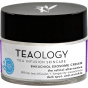 Teaology Средство для ухода за кожей лица Bakuchiol Exosome Ceam - 50 мл