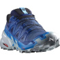 Мужские кроссовки для бега Salomon Speedcross 6 Gtx