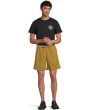 Stretch Zion Pull On Shorts