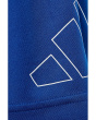 Essentials Big Logo Shorts