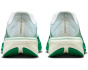 Air Zoom Pegasus 42