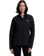 Stretchdown_ _ Light Jacket