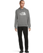 Evolution 1/2 Dome Regular Hoodie