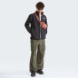 THE NORTH FACE Мужские куртки/Анораки lg.Куртка Arm He/Uni M APEX BIONIC 3