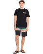 All Day Stripe Pro