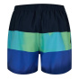 Quiksilver Мужские плавательные шорты
