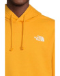 Evolution Box NSE Regular Hoodie