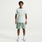 NIKE Мужская рубашка M футболка NKCT STD HERITAGE SP26 (Consu