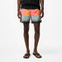 Quiksilver Мужские плавательные шорты