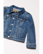 Denim Trucker Jacket (Toddler)