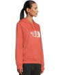 Evolution Half Dome Regular Hoodie
