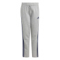adidas Флисовый спортивный костюм 3S Tiberio для юниоров