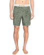 Hyperfreak Mysto Scallop 19'' Boardshorts