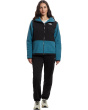 Retro Denali Hoodie