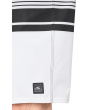 Lennox Stripe 21'' Boardshorts