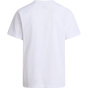 THE NORTH FACE Мужская рубашка M EVOLUTION SIMPLE DOME REGULAR SHORT SL