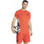 ADIDAS Мужская футболка для болельщиков FCB TR JSY (обычная и длинная)