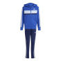 adidas Флисовый спортивный костюм 3S Tiberio для юниоров