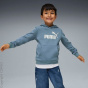 PUMA Толстовка с капюшоном C81233825-4294