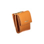 Coccinelle Wallets-Woman-Оранжевый