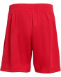 Essentials Big Logo Shorts
