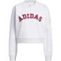 ADIDAS Женская толстовка синель логотип графика