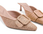 Cassia