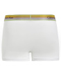 Pride Cotton Trunks