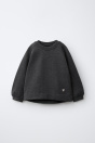 Zara СПОРТИВНАЯ ТОЛСТОВКА С ВЫШИВКОЙ Темно-серого ЦВЕТА