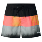 Quiksilver Мужские плавательные шорты