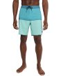 Hyperfreak Mysto Block Scallop 19'' Boardshorts