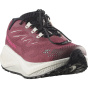 SALOMON Мужские кроссовки AERO BLAZE 4 GRVL W Noctur/Vanila/Мужские кроссовки AERO BLAZE