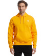 The North Face Мужская толстовка Evolution Simple Dome Regular с капюшоном