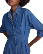 Chrisandra Denim Dress
