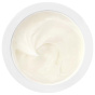 Bobbi Brown Увлажняющий крем для лица Extra Repair Intense Refill - 50 мл